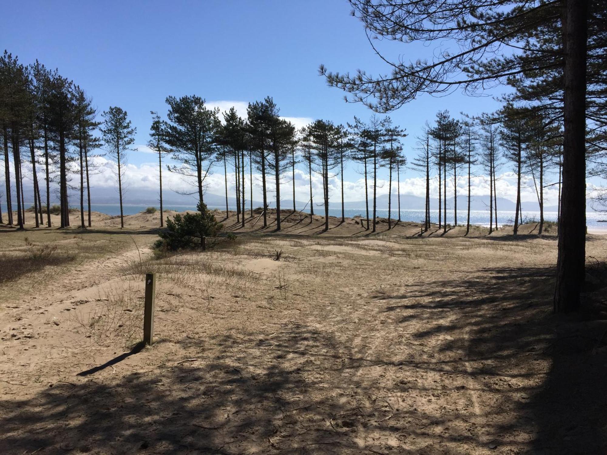 Llanw Malltraeth - Malltraeth Tides Llangadwaladr  Esterno foto